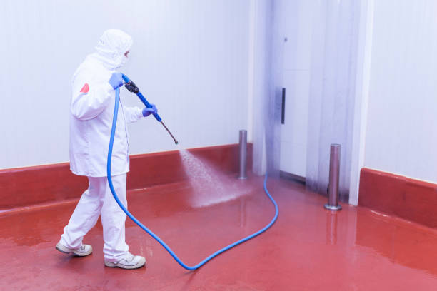 Reliable Glenn Dale, MD  Pressure Washing Services Solutions